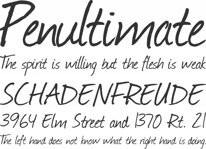 Journal Font Phrases