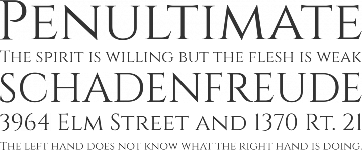 Cinzel Font Phrases