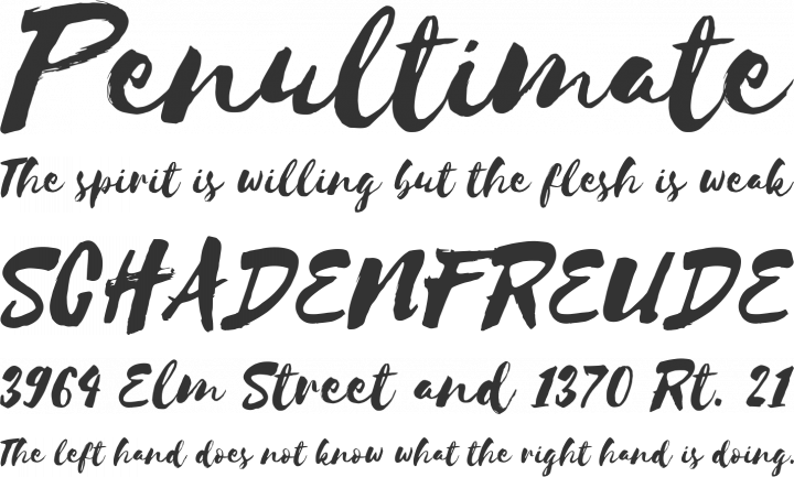 Selima Font Phrases