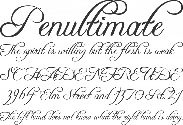 Freebooter Script Font Phrases