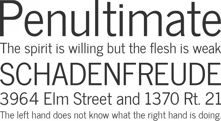 News Cycle Font Phrases