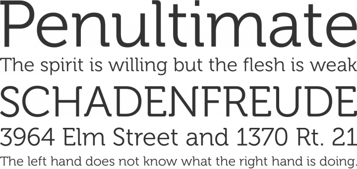 Museo Font Phrases