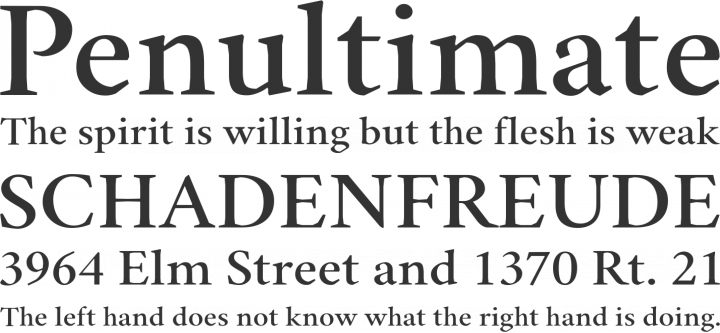 Comprehension Font Phrases