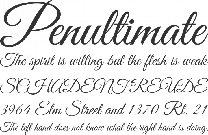 Great Vibes Font Phrases