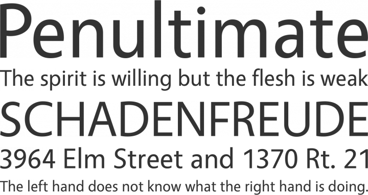 Vegur Font Phrases