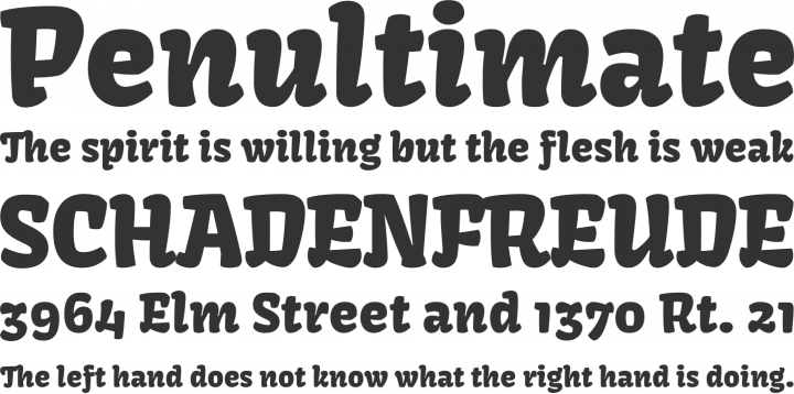 Kavoon Font Phrases