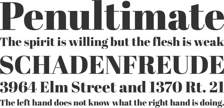 Abril Fatface Font Phrases