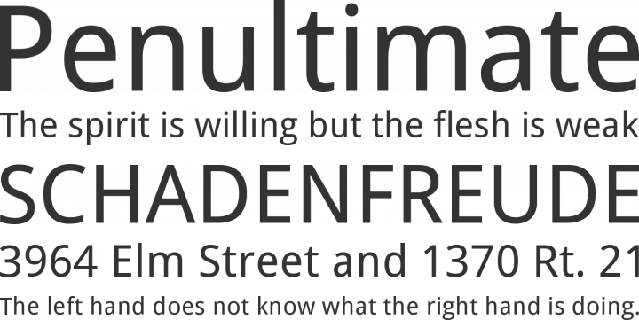 Droid Sans Font Phrases