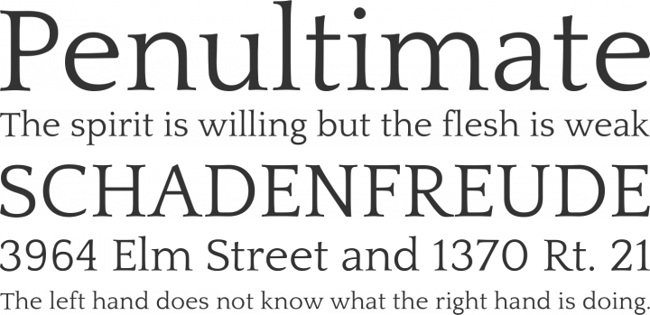 Quattrocento Roman Font Phrases