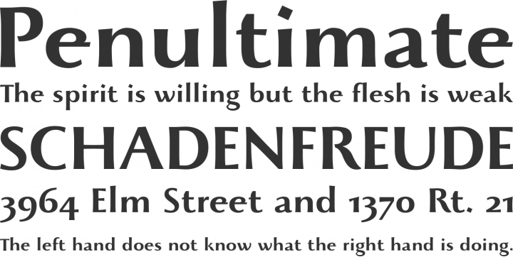 Beatrix Antiqua Font Phrases