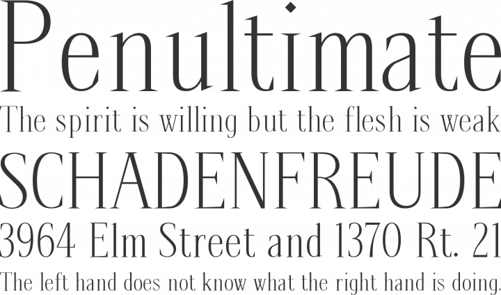 Spirequal Light Font Phrases
