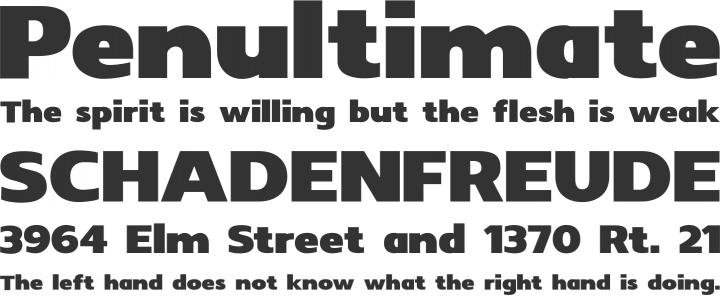 Insolent Font Phrases