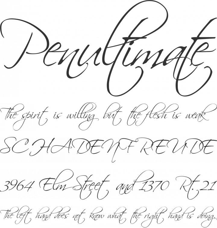 Scriptina Font Phrases